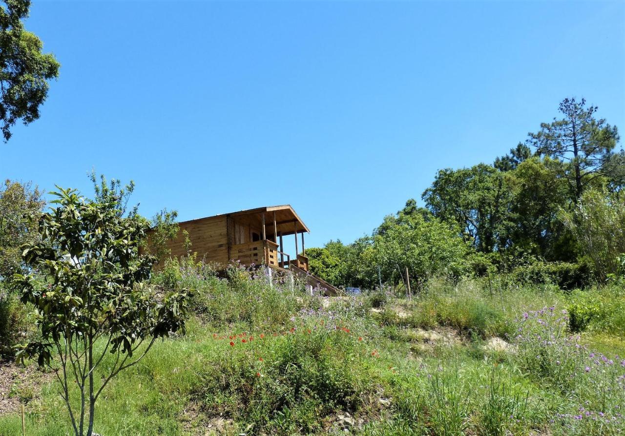 Serra das Alhadas Casa Do Sobreiro 2 B&B 외부 사진