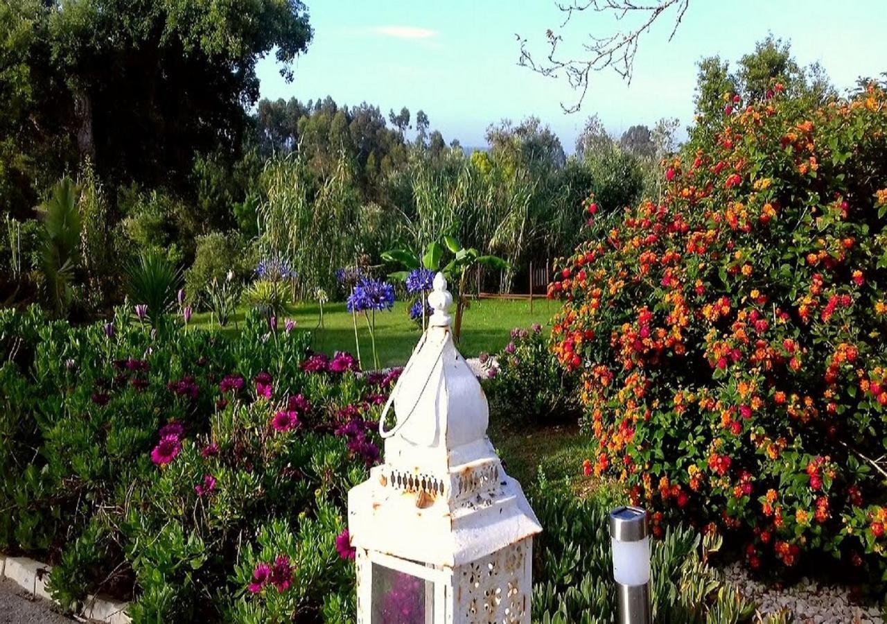 Serra das Alhadas Casa Do Sobreiro 2 B&B 외부 사진