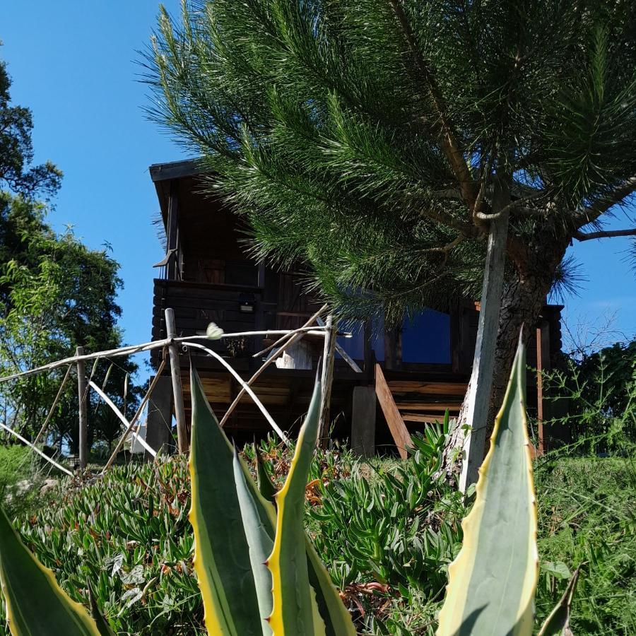 Serra das Alhadas Casa Do Sobreiro 2 B&B 외부 사진