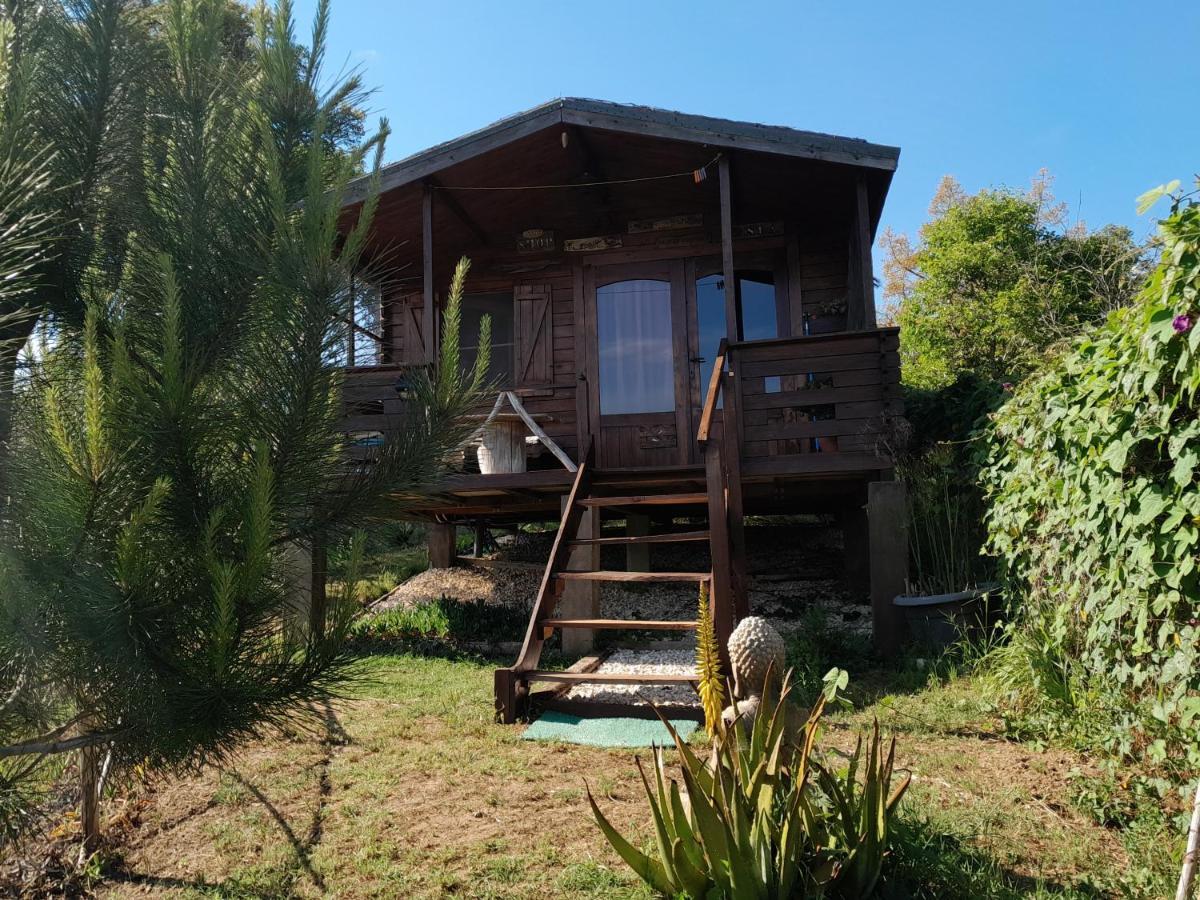 Serra das Alhadas Casa Do Sobreiro 2 B&B 외부 사진