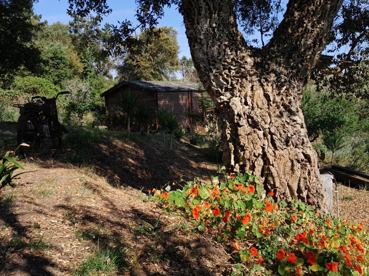 Serra das Alhadas Casa Do Sobreiro 2 B&B 외부 사진