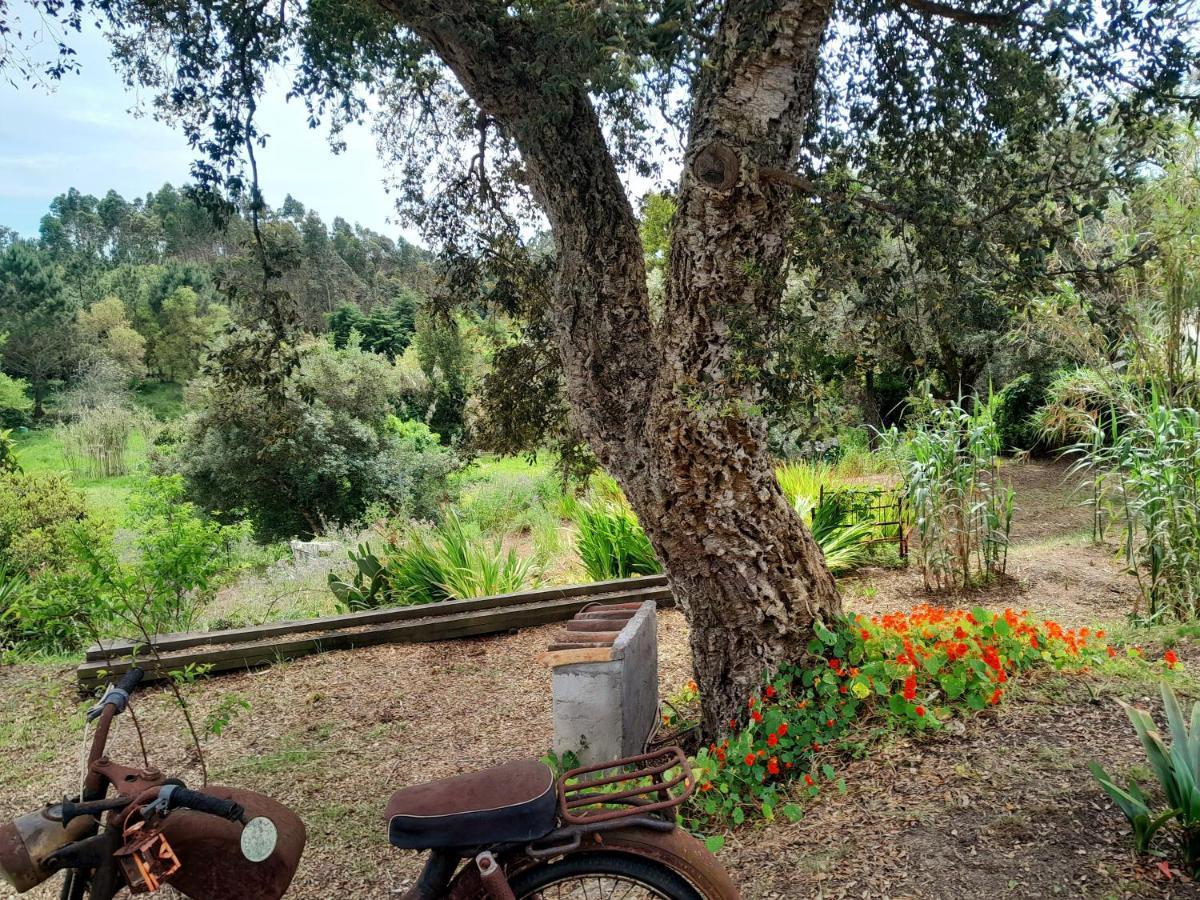 Serra das Alhadas Casa Do Sobreiro 2 B&B 외부 사진