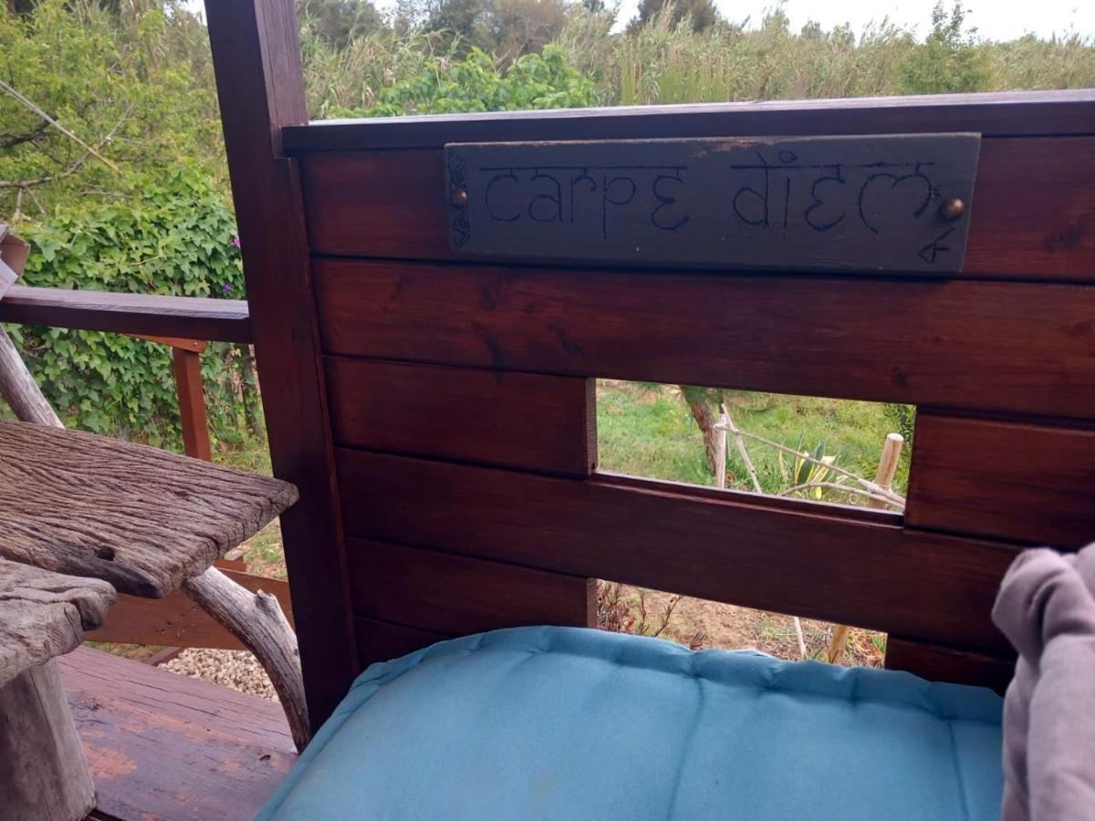 Serra das Alhadas Casa Do Sobreiro 2 B&B 외부 사진