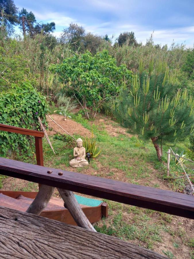 Serra das Alhadas Casa Do Sobreiro 2 B&B 외부 사진