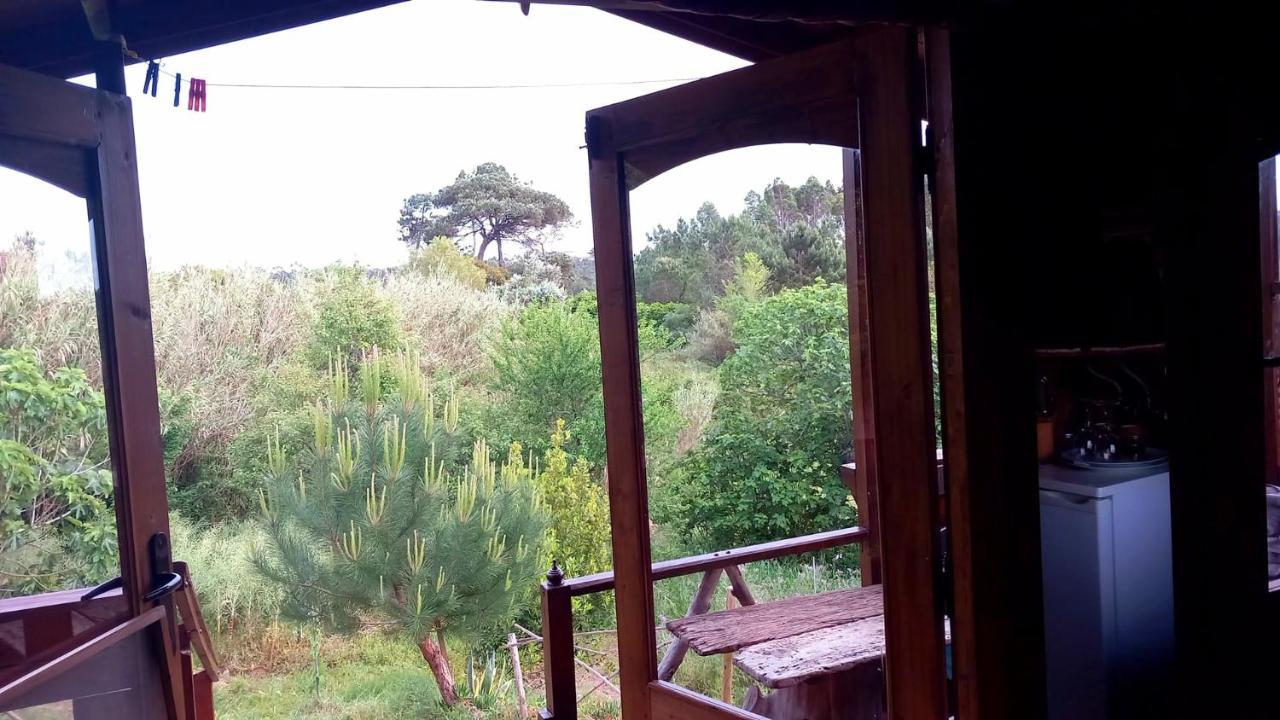 Serra das Alhadas Casa Do Sobreiro 2 B&B 외부 사진