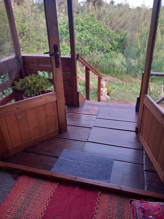 Serra das Alhadas Casa Do Sobreiro 2 B&B 외부 사진