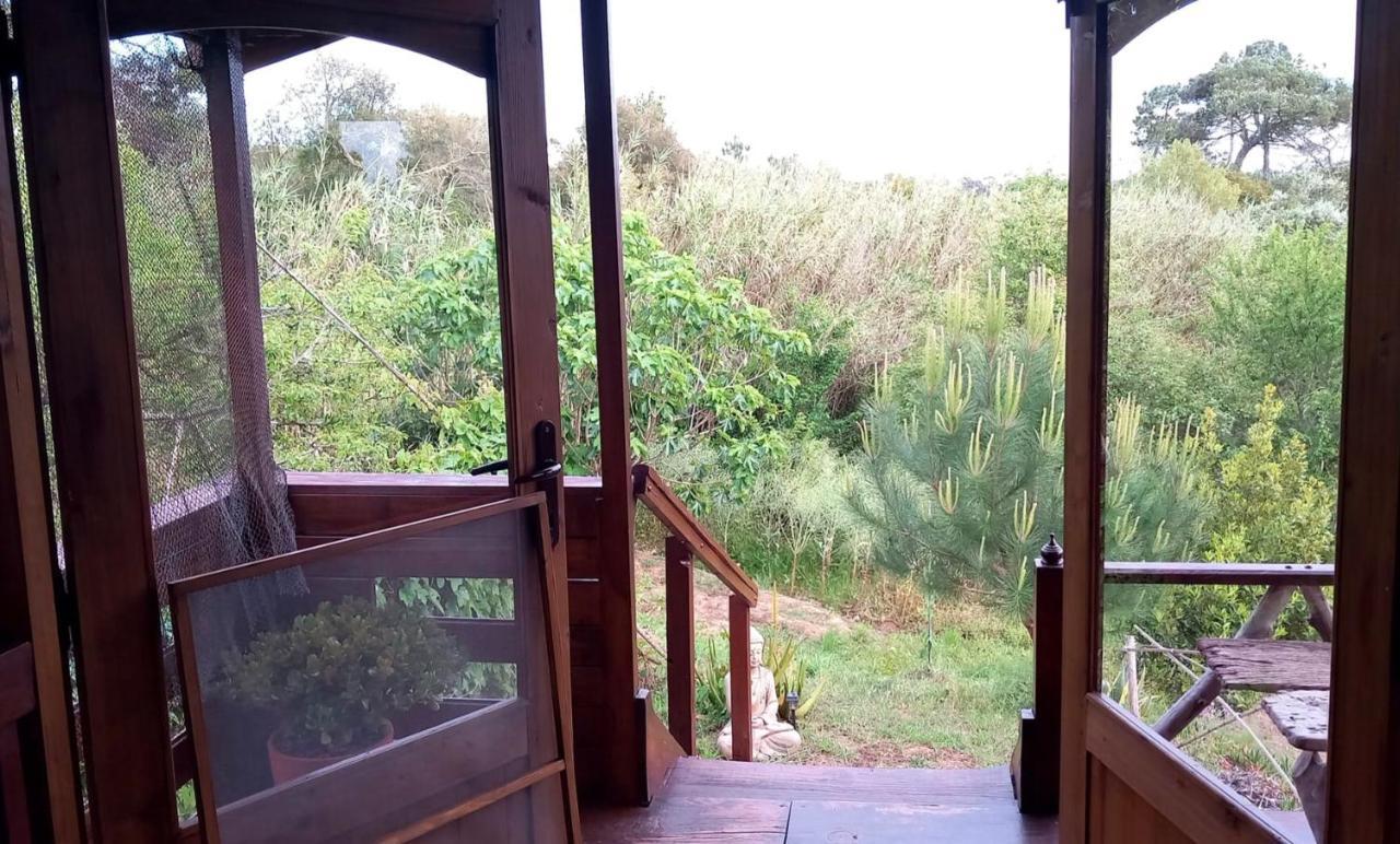 Serra das Alhadas Casa Do Sobreiro 2 B&B 외부 사진