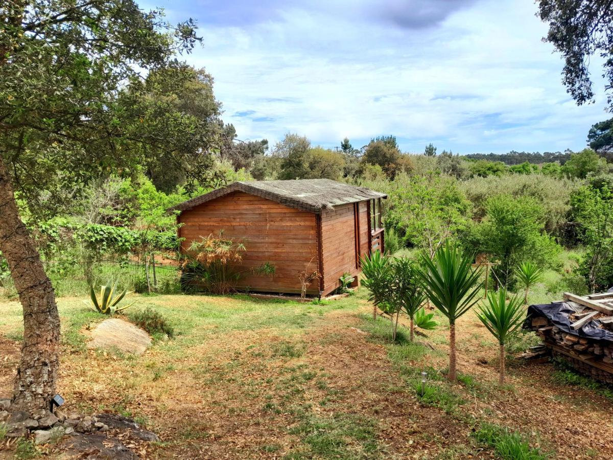 Serra das Alhadas Casa Do Sobreiro 2 B&B 외부 사진