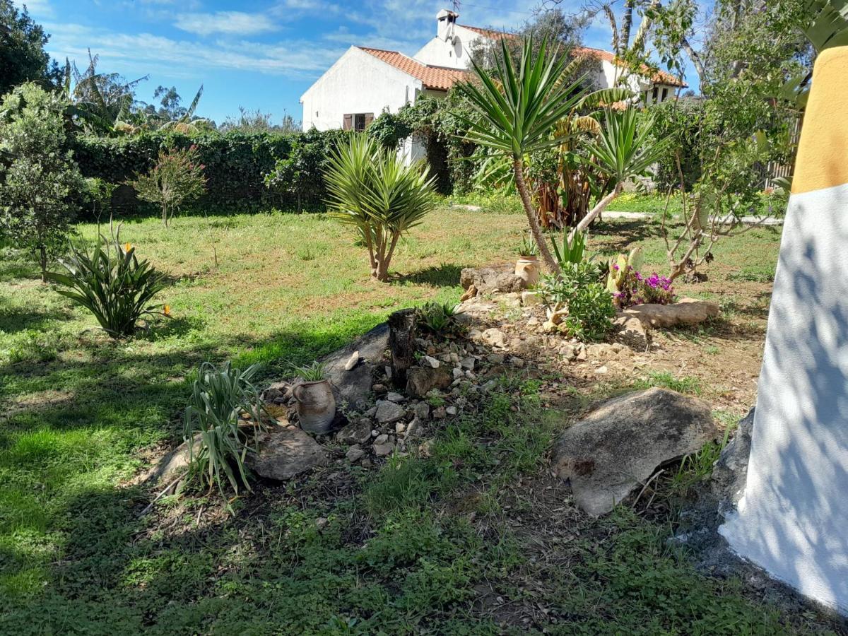 Serra das Alhadas Casa Do Sobreiro 2 B&B 외부 사진