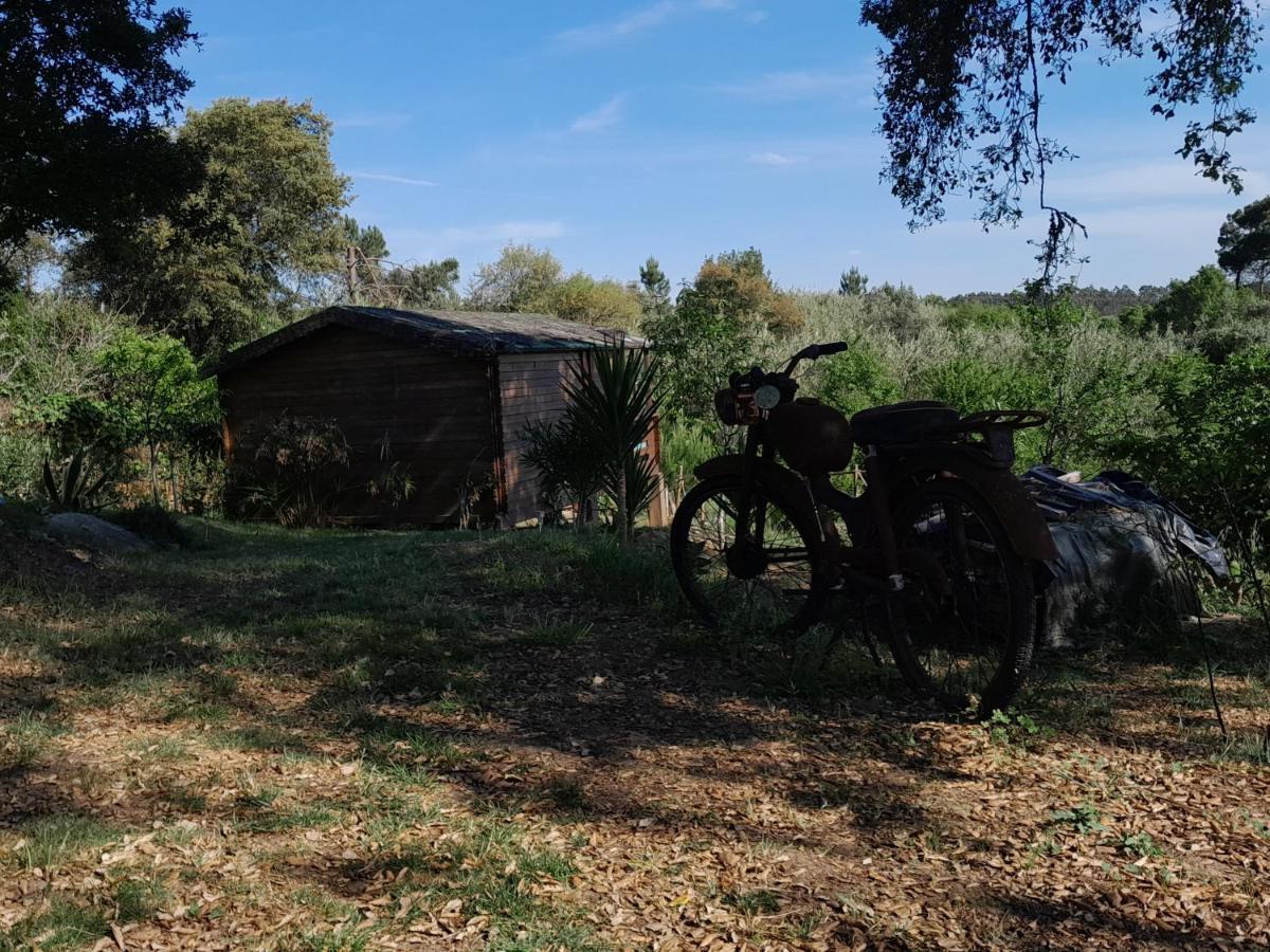 Serra das Alhadas Casa Do Sobreiro 2 B&B 외부 사진