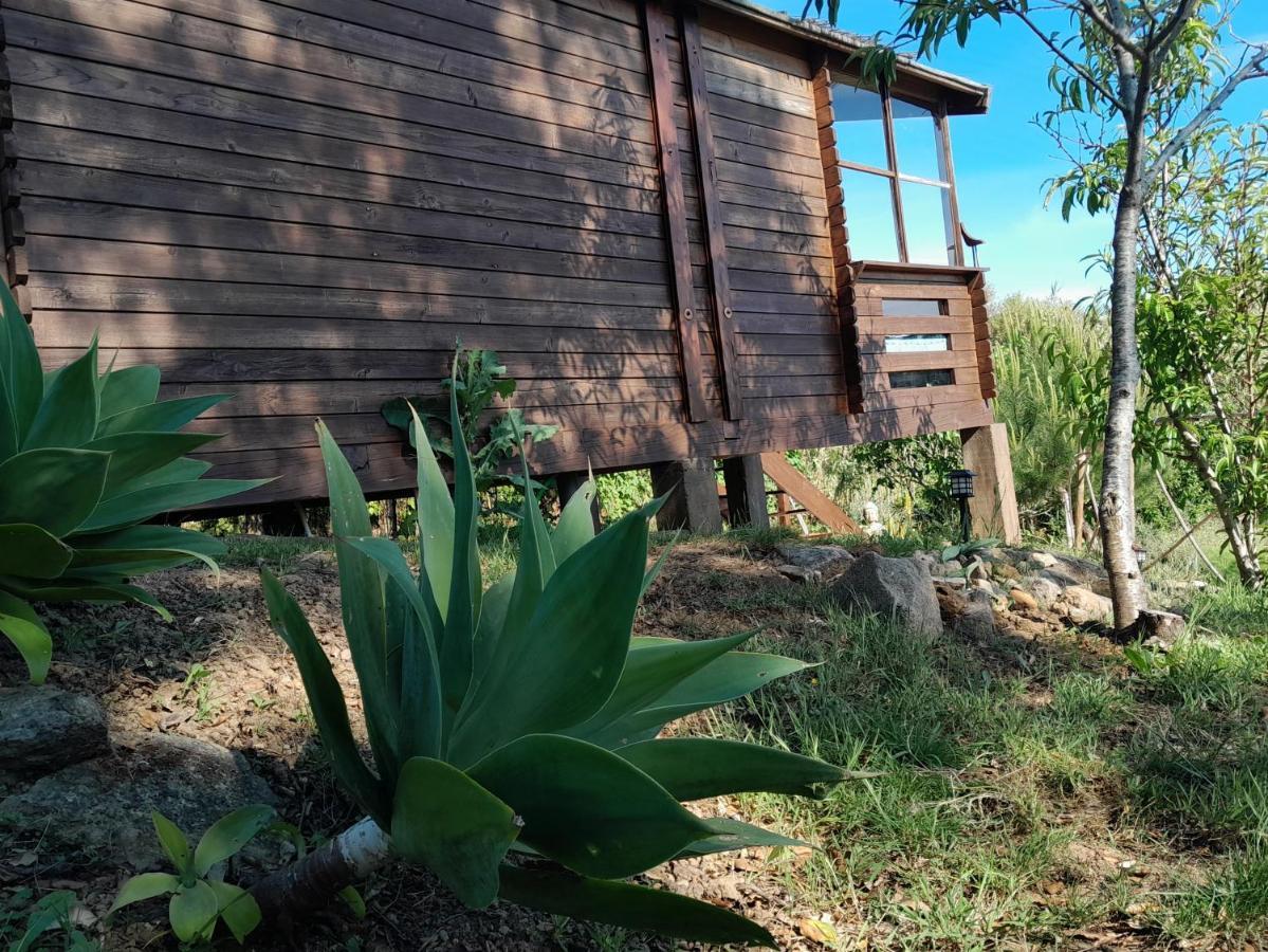 Serra das Alhadas Casa Do Sobreiro 2 B&B 외부 사진